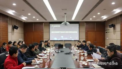 重慶市物聯(lián)網(wǎng)產(chǎn)業(yè)協(xié)會(huì)專家技術(shù)委員會(huì)座談會(huì)圓滿舉行，共商信息技術(shù)服務(wù)新篇章